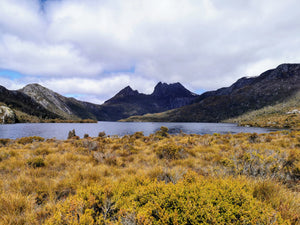 Mountain Creek Outdoors